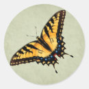 Search for swallowtail stickers Insect