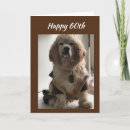 Search for cocker spaniel birthday cards Photography