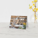 Search for 30th cat birthday cards Kitten