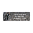 Search for woodpecker return address labels Nature