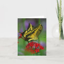 Search for postage cards Flower