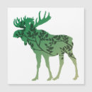 Search for leaf note magnets Nature