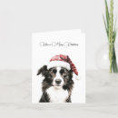 Search for shelter christmas cards Rescue