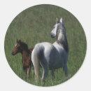 Search for maree stickers Bob langrish