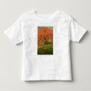 Search for acer clothing Oregon