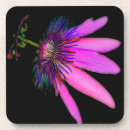 Search for passion coasters Pink