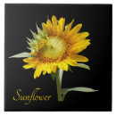 Search for sunflower kitchen tiles Garden