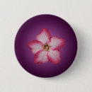 Search for floras badges Pink