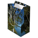Search for koala gift bags Australia