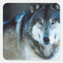 Search for timbers stickers Nature