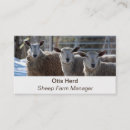 Search for sheep business cards Agriculture