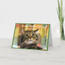 Search for tabby cat birthday cards Funny
