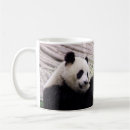 Search for bamboo kitchen dining Animals