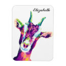 Search for pop animal magnets Abstract