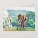 Search for original drawing postcards Horse