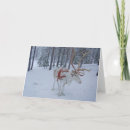Search for suomi cards Reindeer