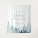 Search for winter backdrops Silver