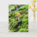 Search for moss cards Plants