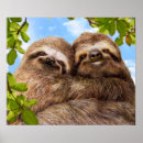 Search for sloth art Funny