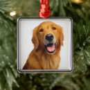 Search for golden retriever christmas tree decorations Closeup