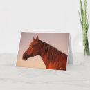 Search for chestnut horse cards Bob langrish