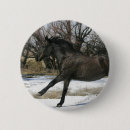 Search for mustangs badges Equestrian
