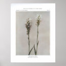 Search for fringe posters Floral