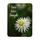 Search for single flower magnets Garden