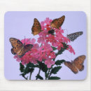 Search for monarchs electronics Nature
