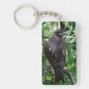 Search for red hawk key rings Animal