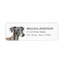 Search for greyhound return address labels Dog