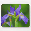 Search for iris garden electronics Plant