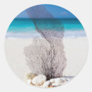 Search for take me to the beach stickers Dreams