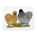 Search for silky magnets Poultry