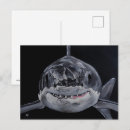 Search for fish postcards Ocean