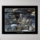 Search for wolf lovers posters Wild dogs