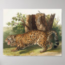 Search for felis posters Vintage
