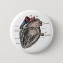 Search for anatomically badges Vintage
