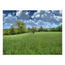 Search for hdr art Rural