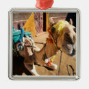 Search for camel christmas tree decorations Africa