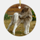 Search for equine christmas tree decorations Wild
