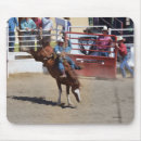 Search for bronc electronics Horse