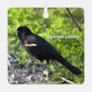 Search for blackbird christmas tree decorations Birds