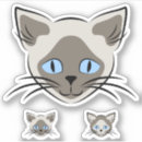 Search for cute faces stickers Kitten