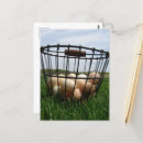 Search for egg basket postcards Blue
