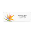 Search for botanical baby shower return address labels Pretty