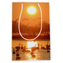 Search for swan gift bags Lake