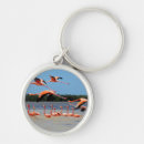 Search for flamingo rounded key rings Ocean