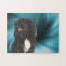 Search for pekingese puzzles Cute