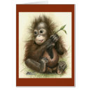 Search for rain forest Baby